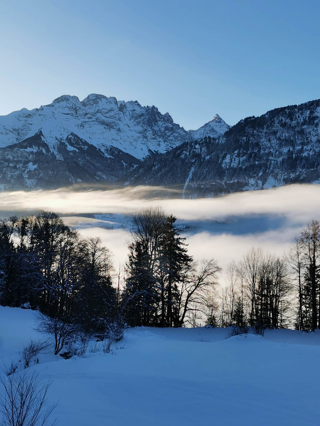 Winterliche Aussicht mit Schnee